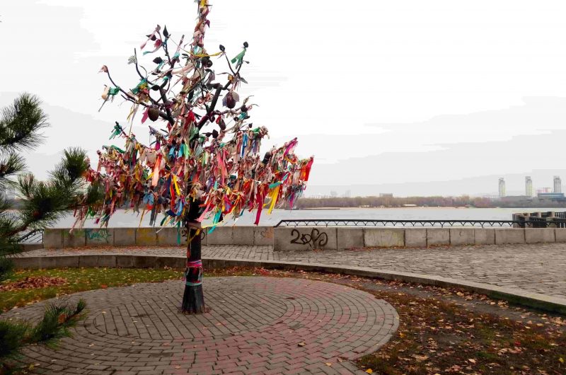 "Дерево счастья" на набережной Днепра